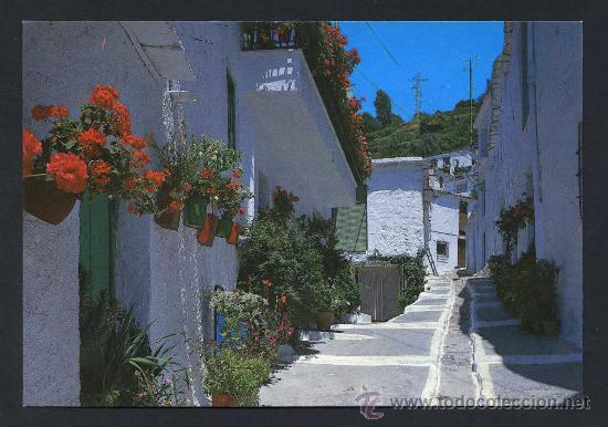 Postales: Pampaneira. *Calle t&iacute;pica. Alpujarras* Ed. A. Zerkowitz n&ordm; 1194. Circulada.