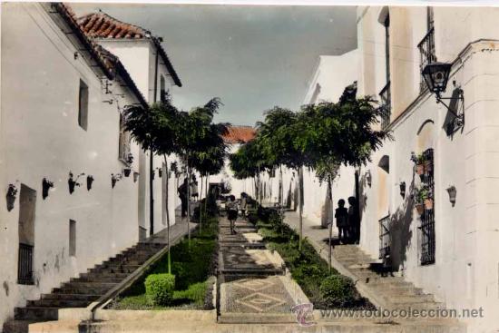 Postales: ALGECIRAS (C&Aacute;DIZ).- CALLE ROCHA