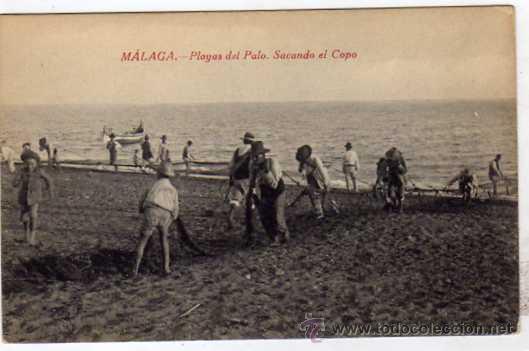 Postales: Malaga. Playa del Palo, sancando el copo. Ed. Rafael Tovar . Sin circular.