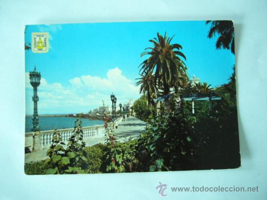 Postales: CADIZ N&ordm; 1124. ESCUDO DE ORO