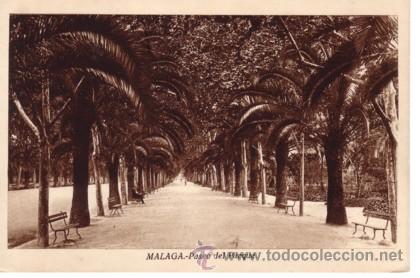Postales: N&ordm; 8873 MALAGA PASEO DEL PARQUE
