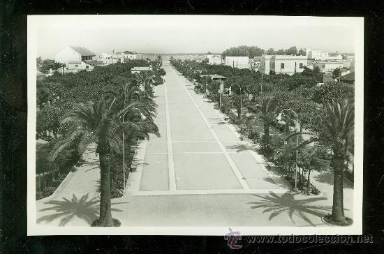 Postkarten: TARJETA POSTAL DE SANLUCAR DE BARRADEMA. PASEO DE LA CALZADA. N&ordm; 53. EDICIONES ARRIBAS.
