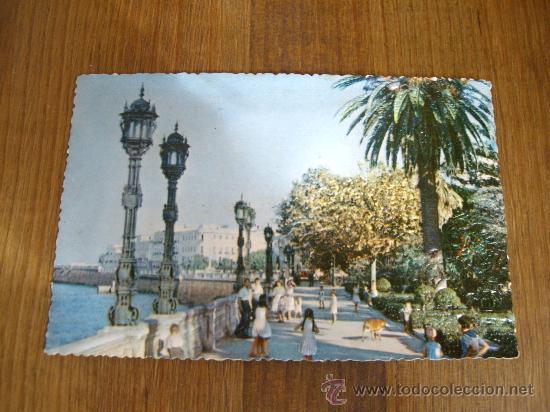 Postales: . PA POSTAL DE CADIZ. N&ordm; 108. ALAMEDA MARQUES DE COMILLAS . FOTO - RELIEVE. - PATELERIA ALFA.