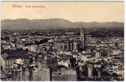 Postales: MALAGA. Vista panor&aacute;mica.  Ed. Domingo del Rio. Sin circular.