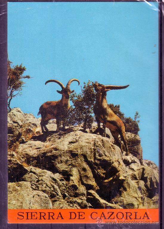 Postales: JAEN - SIERRA DE CAZORLA - CABRA HISPANICA