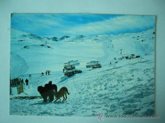 Postales: SIERRA NEVADA. N&ordm; 1206. ED. GALLEGOS. ESCRITA Y CIRCULADA
