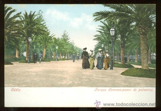 Postkarten: TARJETA POSTAL DE CADIZ. PARQUE GENOVES. PASEO DE PALMERAS.