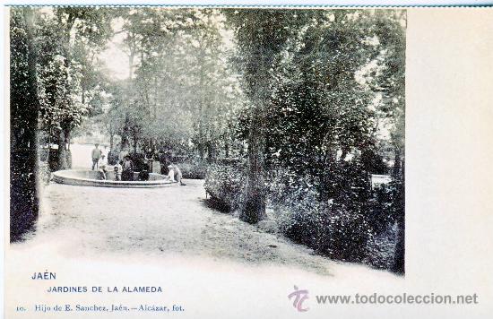 Postales: JAEN.- JARDINES DE LA ALAMEDA.- HACIA 1904.- (REPRODUCCION)