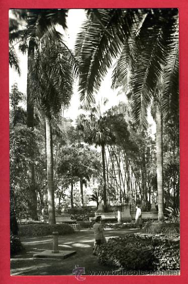 Postales: malaga, parque de salvador, foto, fotografica,    p61531