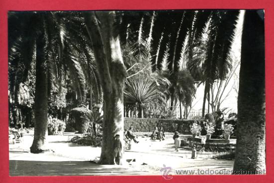 Postales: malaga, parque infantil, foto, fotografica,    p61541