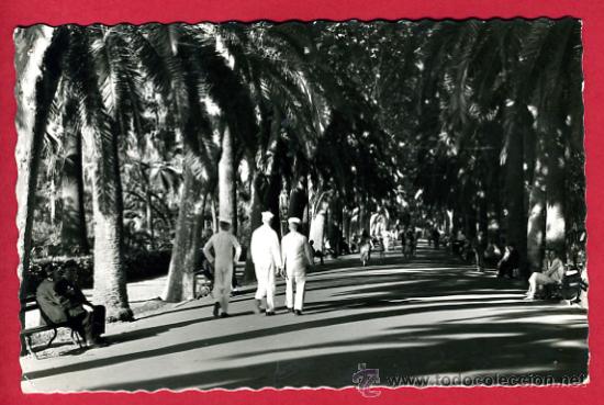 Postales: malaga, paseo del parque,     p61551