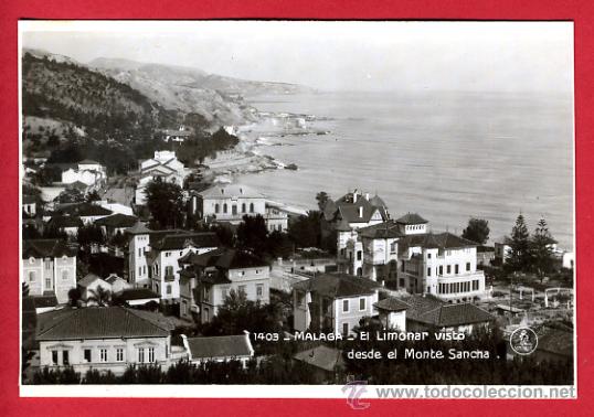 Postales: malaga, el limonar visto desde el monte sancha,    p61562