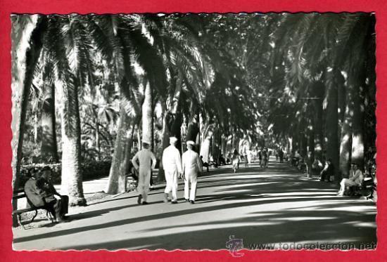 Postales: malaga, paseo del parque,    p61563