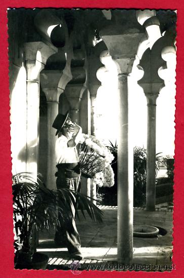 Postales: malaga, tipico vendedor de biznagas,    p61573