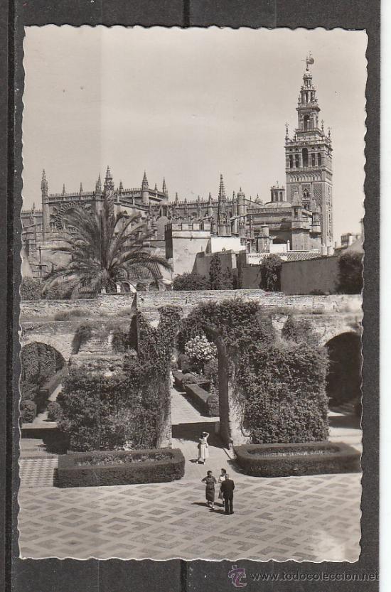 Postales: 138. SEVI8LLA. REALES ALCAZARES. PATIO DE LA MONTERIA Y LA GIRALDA