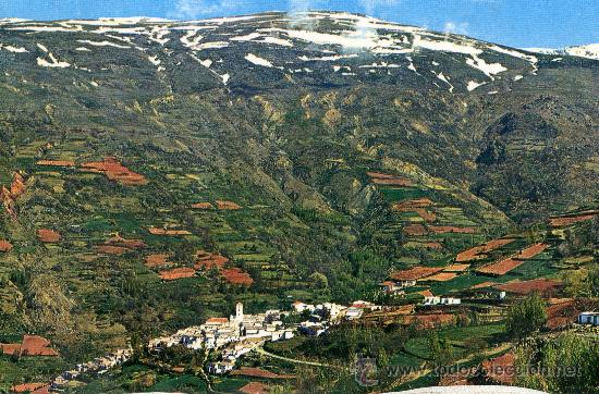 Postales: LA ALPUJARRA N&ordm; 214 AL FONDO SIERRA NEVADA ESCRITA CIRCULADA SIN SELLO EDICIONES ARRIBAS