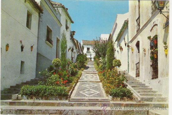 Postales: POSTAL ALGECIRAS. CALLE TIPICA ROCHA,EDITA CAMPA&Ntilde;A  N&ordm;8704