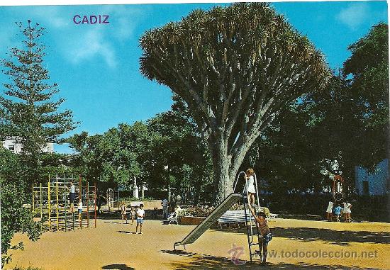 Postcards: CADIZ, PARQUE GENOVES N&ordm; 104, EDICIONES ARRIBAS.