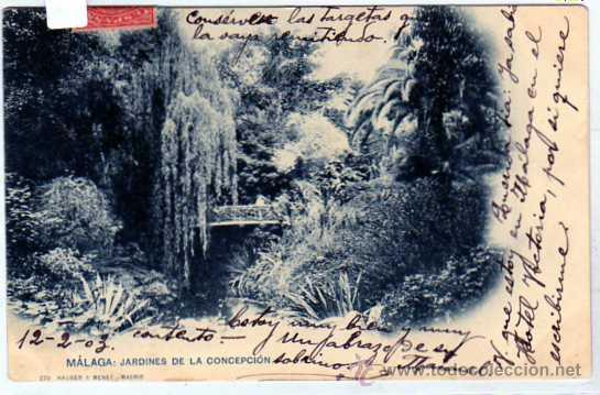 Postales: Malaga. Hauser y Menet n&ordm; 270. Jardines de la Concepcion . Serie general. circulada.