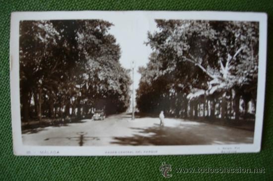 Cartoline: POSTAL DE MALAGA - PASEO CENTRAL DEL PARQUE , FOTOGRAFIA L . ROISIN