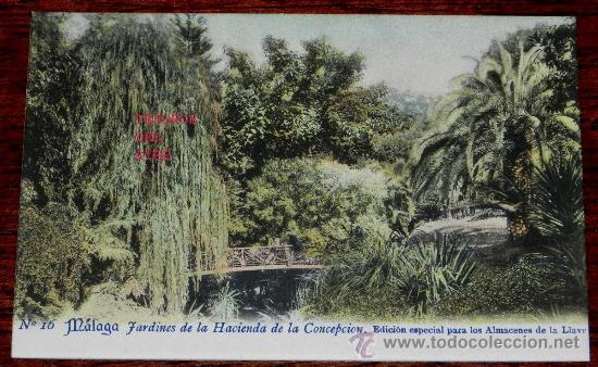 Postales: ANTIGUA POSTAL DE MALAGA - JARDINES DE LA HAIENDA DE LA CONCEPCION . EDICION ESPECIAL PARA LOS ALMAC
