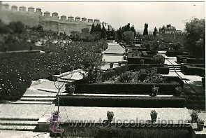 Postales: ALMERIA.- JARDINES DE LA ALCAZABA.- EDICIONES ARRIBAS N&ordm; 1024.- FOTOGR&Aacute;FICA..