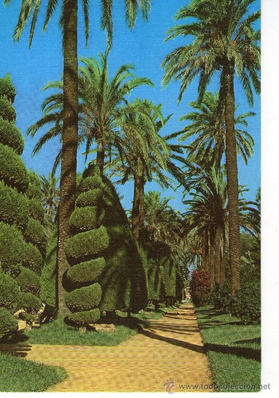 Postales: buena postal de cadiz - parque de genoves