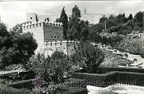 Postales: ALMERIA.- JARDINES DE LA ALCAZABA.- EDICIONES ARRIBAS N&ordm; 1061.- FOTOGR&Aacute;FICA..
