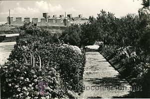 Postales: ALMERIA.- JARDINES DE LA ALCAZABA.- EDICIONES ARRIBAS N&ordm; 1062.- FOTOGR&Aacute;FICA..