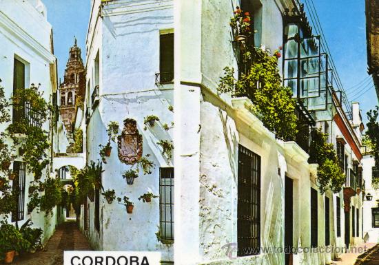 Cartoline: C&Oacute;RDOBA N&ordm; 36 CALLES T&Iacute;PICAS ESCRITA CIRCULADA SELLO V.M. DE PRADO EGUILAZ