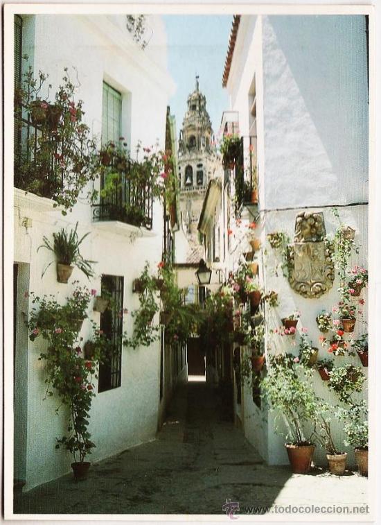 Postales: cordoba - calle de las flores - ed. al-zahira - sin circular - a&ntilde;o 1989