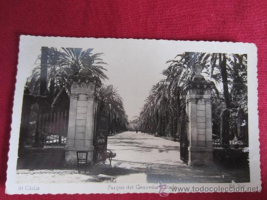 Postales: CADIZ - PARQUE DEL GENOVES