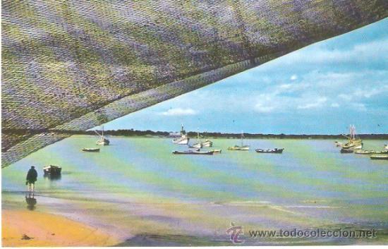 Postales: TARJETA POSTAL. CADIZ. SANLUCAR DE BARRAMEDA. VISTA DE BAJO DE GUIA. JEREZ INDUSTRIAL.