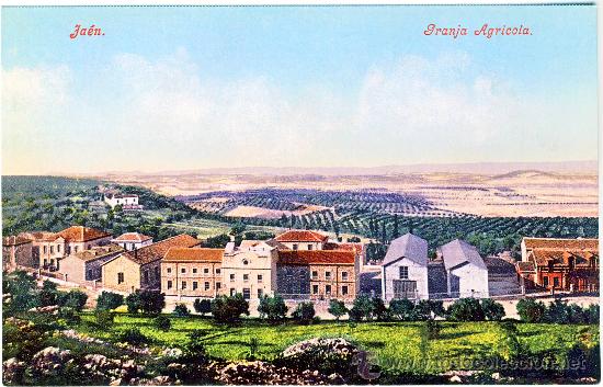 Postales: GRANJA AGRICOLA DE JAEN.- A&Ntilde;O 1908. (REPRODUCCION).
