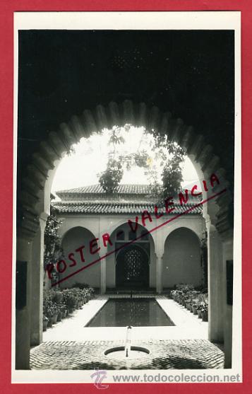 Postales: MALAGA, JARDINES DE LA ALCAZABA, FOTOGRAFICA,     P64355