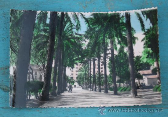 Postales: ANTIGUA FOTO  POSTAL DE MALAGA - PASEO DEL PARQUE - FOTO D. CORTES - EDICIONES DOLORES DE O&Ntilde;A - CIRC