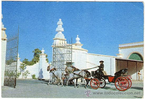 Postales: BONITA POSTAL - EL PUERTO DE SANTA MARIA (CADIZ) - CARRUAJE TIPICO ANDALUZ