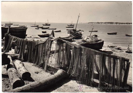 Postales: BONITA POSTAL - SANLUCAR DE BARRAMEDA (CADIZ) - RINCON DE BAJO DE GUIA Y COTO DE DO&Ntilde;ANA