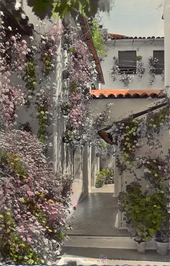 Postales: Postal de CORDOBA