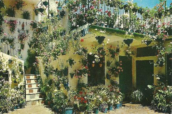 Postales: POME5 14101 Cordoba patio