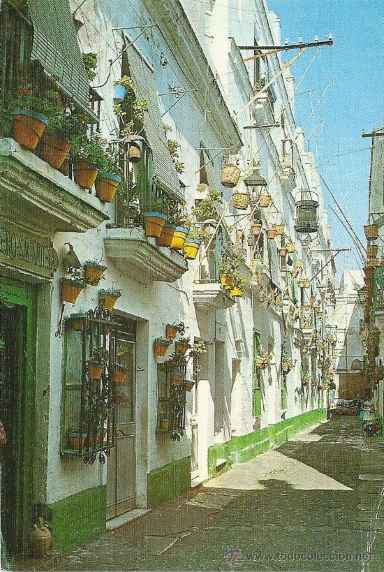 Postales: POME5 11213 Cadiz ( A&Ntilde;O 1973 )