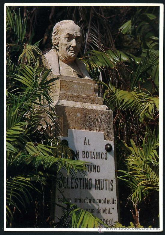 Postales: POME5 11157 Cadiz ( A&Ntilde;O 1994 )