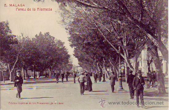 Postales: 6 malaga - paseo de la  alameda. - almacenes de la llave