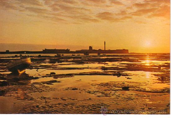 Postales: POSTAL N&ordm; 5183 CADIZ LA CALETA