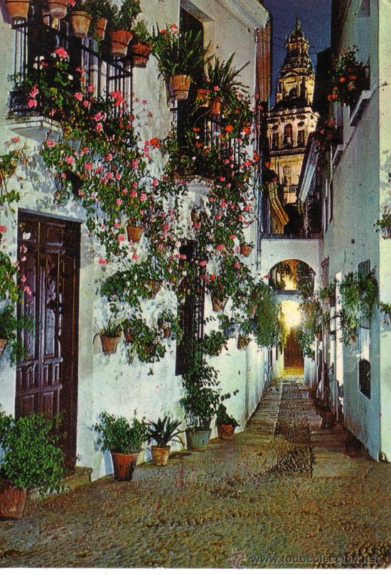 Postales: N&ordm; 10131 ESPA&Ntilde;A TIPICA