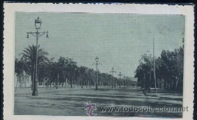 Postales: POSTAL DE CORDOBA - PASEO DE LA VICTORIA  P-ANCOR-349, 2