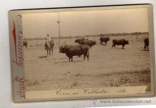 Postales: Fotografia Beauchy. Sevilla. Toros en Tablada. 402. Gabinete. Albumina. 16,50 x 11 cm.