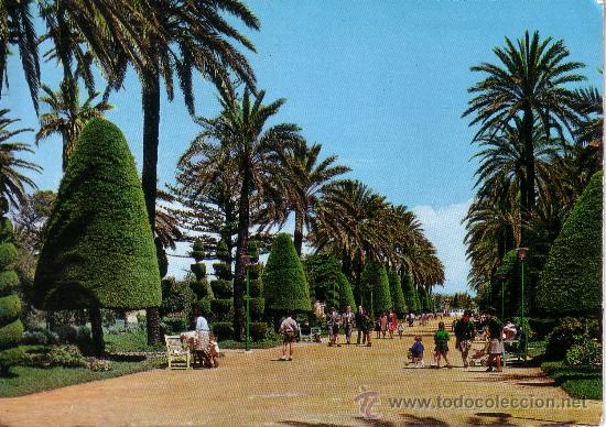 Postales: CADIZ - PARQUE GENOVES PASEO CENTRAL