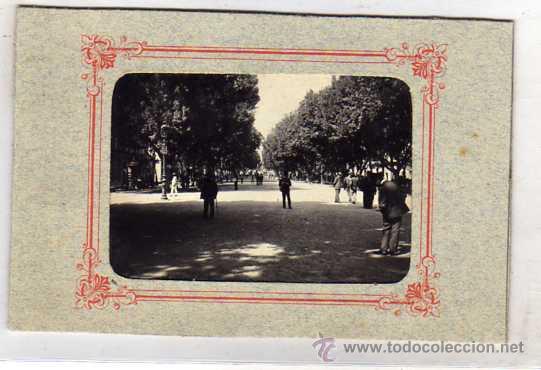 Postales: FOTOGRAFIA ORIGINAL MEDIDAS, ( S&Oacute;LO FOTO) 9 X 6 CM. Malaga. Alameda.