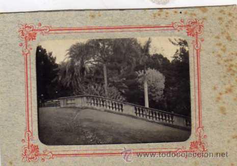 Postales: FOTOGRAFIA ORIGINAL MEDIDAS, ( S&Oacute;LO FOTO) 9 X 6 CM. Malaga, Detalle de un parque.